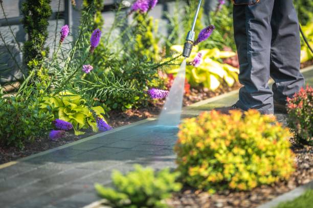 Best Pool Deck Cleaning  in Woodhaven, MI