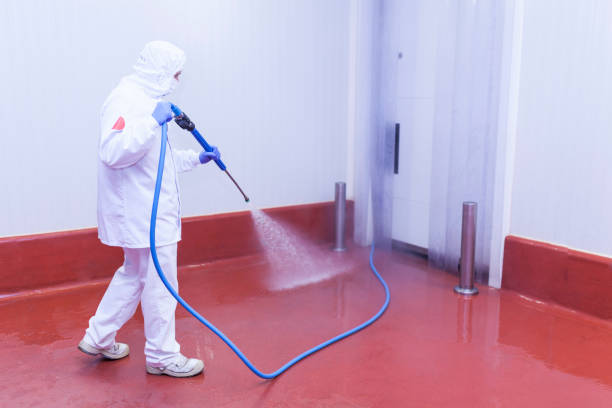 Best Concrete Sealing  in Woodhaven, MI