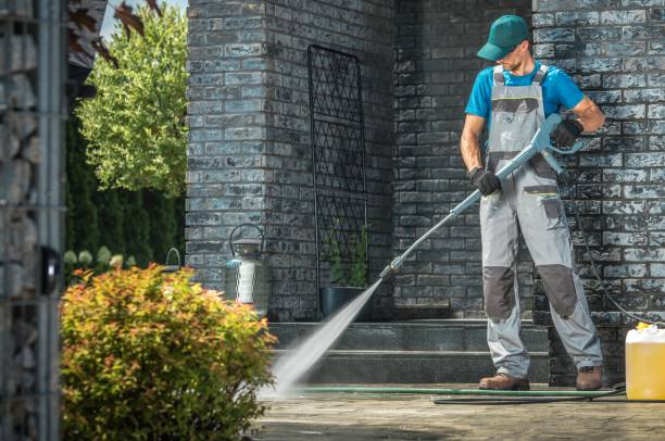 Best Fleet Vehicle Washing  in Woodhaven, MI
