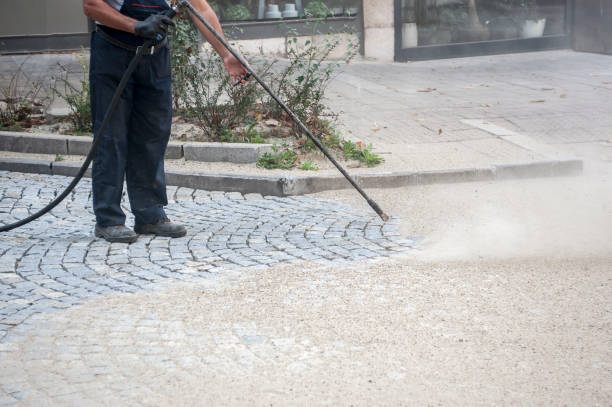 Best Pre-Holiday Cleaning  in Woodhaven, MI