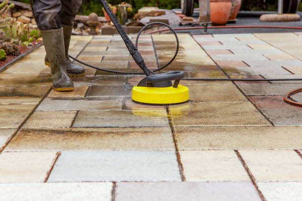 Best Driveway Pressure Washing  in Woodhaven, MI