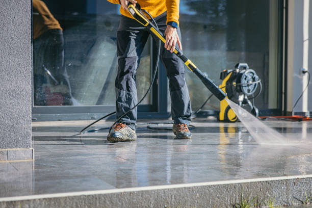 Best Gutter Cleaning  in Woodhaven, MI