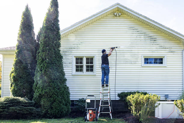 Best Soft Washing  in Woodhaven, MI