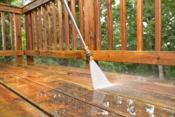 Best Roof Washing  in Woodhaven, MI