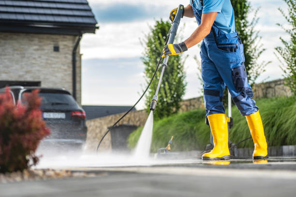 Best Animal Enclosure Cleaning  in Woodhaven, MI
