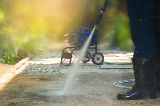 Best Sidewalk and Walkway Cleaning  in Woodhaven, MI